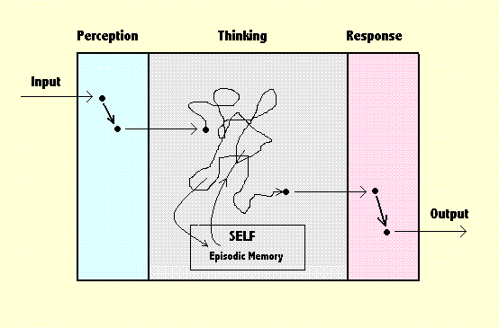 what is external and internal with respect to SELF