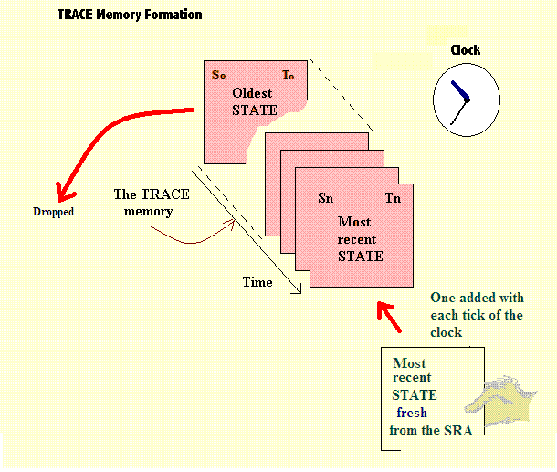 a schematic diagram of the TRACE memory