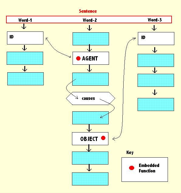The structure of a verb